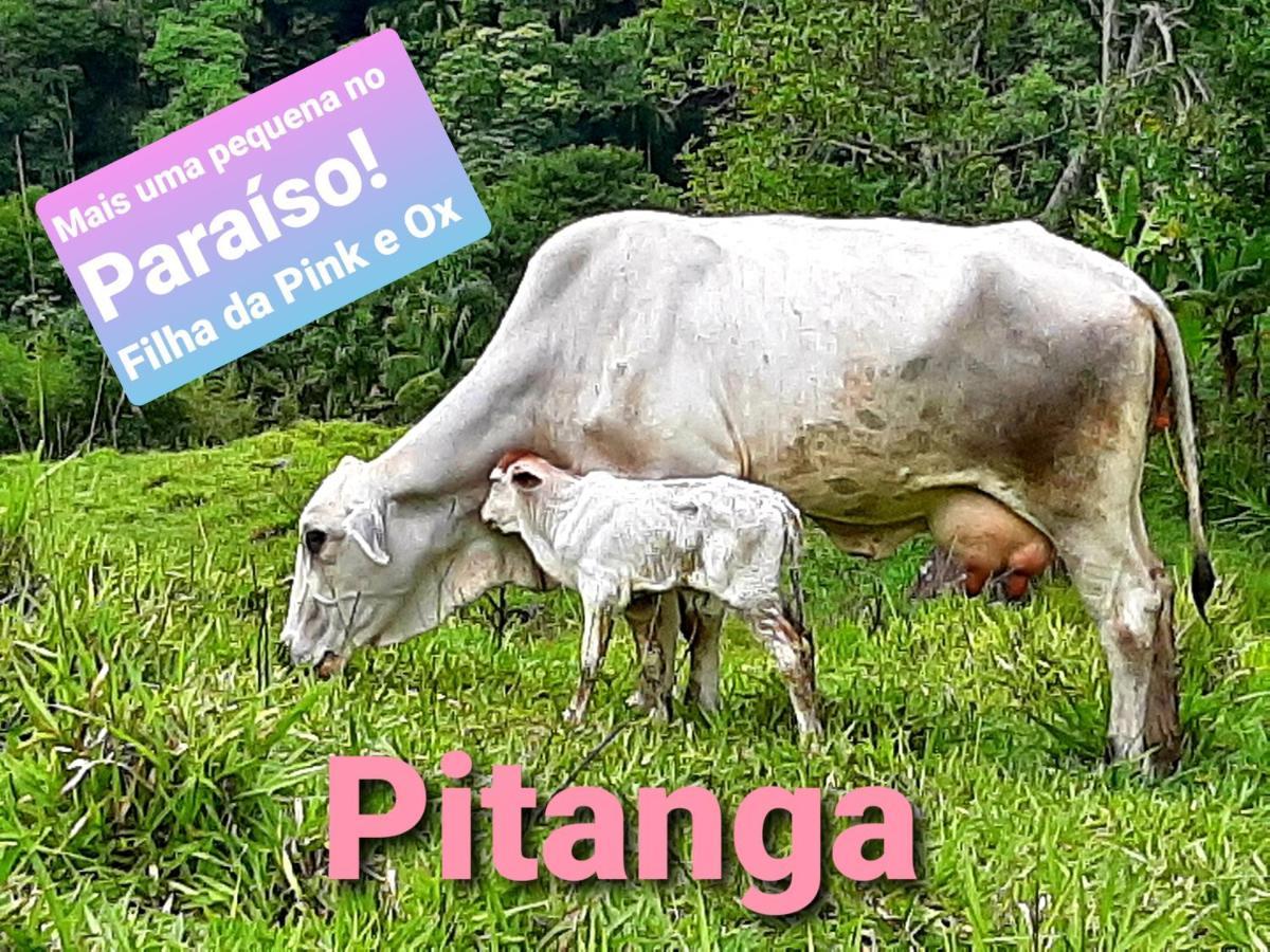 Fazendinha Paraiso Lumiar Zewnętrze zdjęcie
